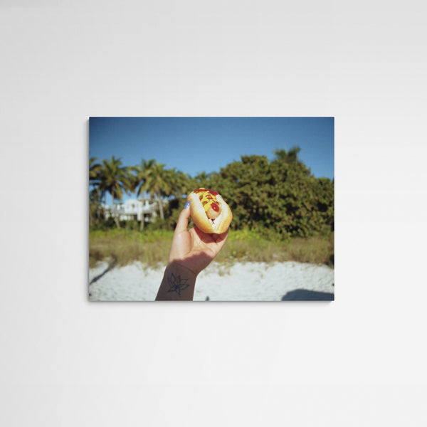 Daniela Torres Palms and Hotdogs Main Image Square