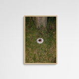 Jaqui DISCONNECTED Frame Wood Holz