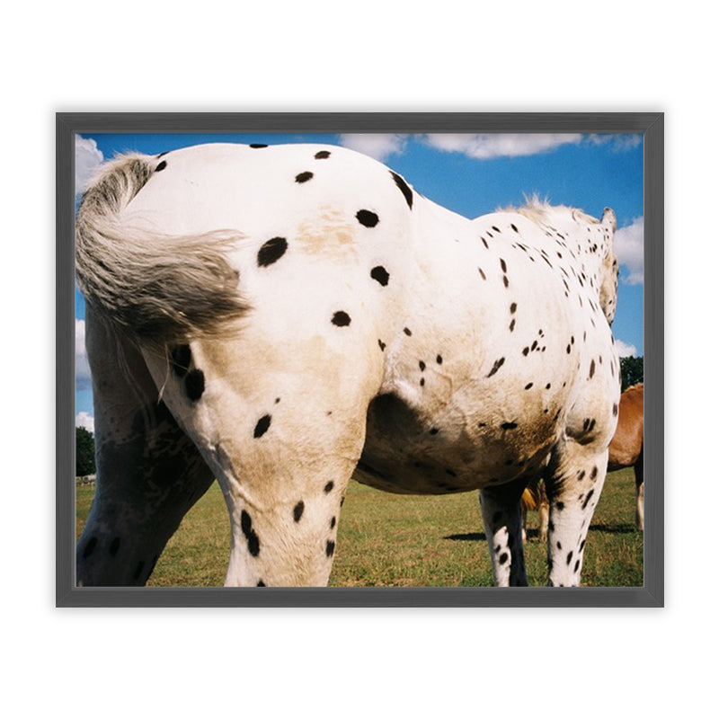 Veronika Natter Pferde Schulze Kunst100 Grau