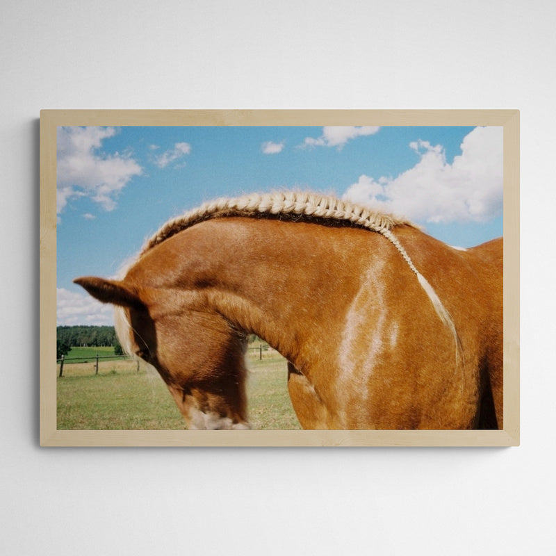 Kunst100 Veronika Natter Pferde Schulze #2 Frame Wood Fichte Fichte