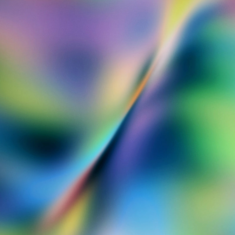 Kunst100 A Soft Collision of Care Zoom