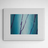 Roberto Rivadeneira Memories 001 Frame White Weiß