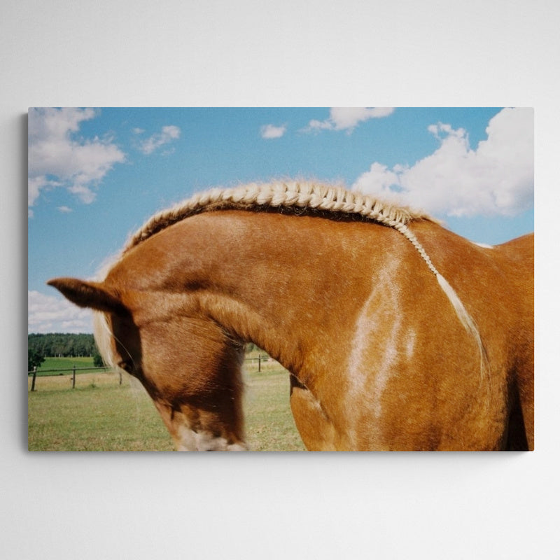 Kunst100 Veronika Natter Pferde Schulze #2 Main Image Square