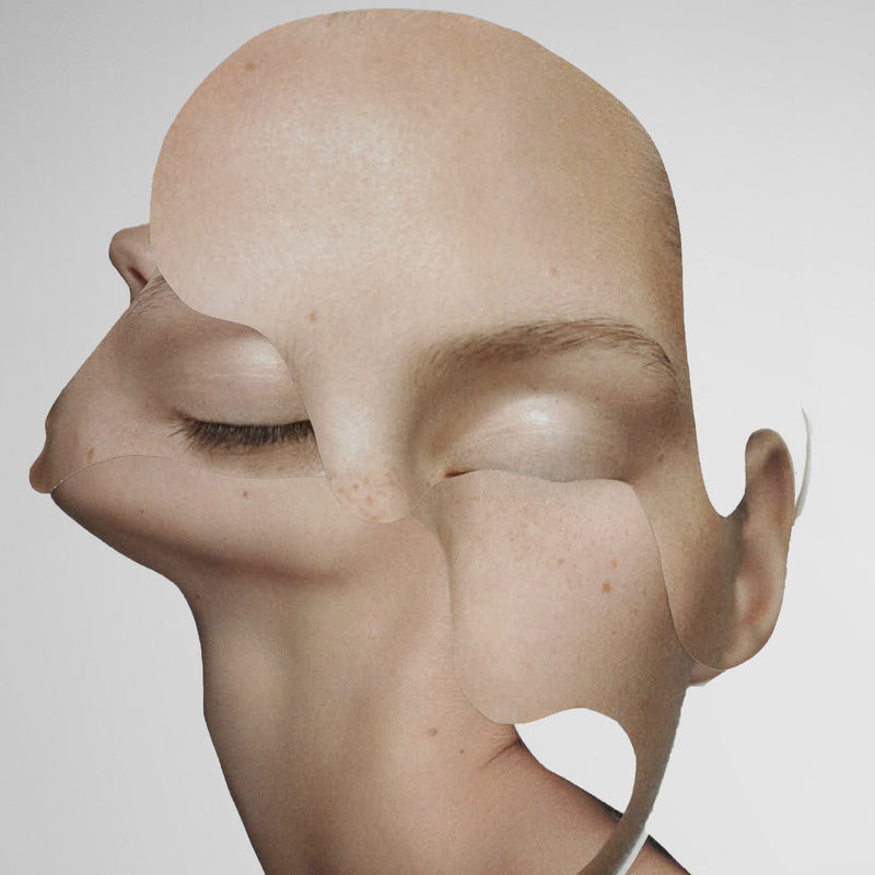 Deconstructed Portrait- SB1
