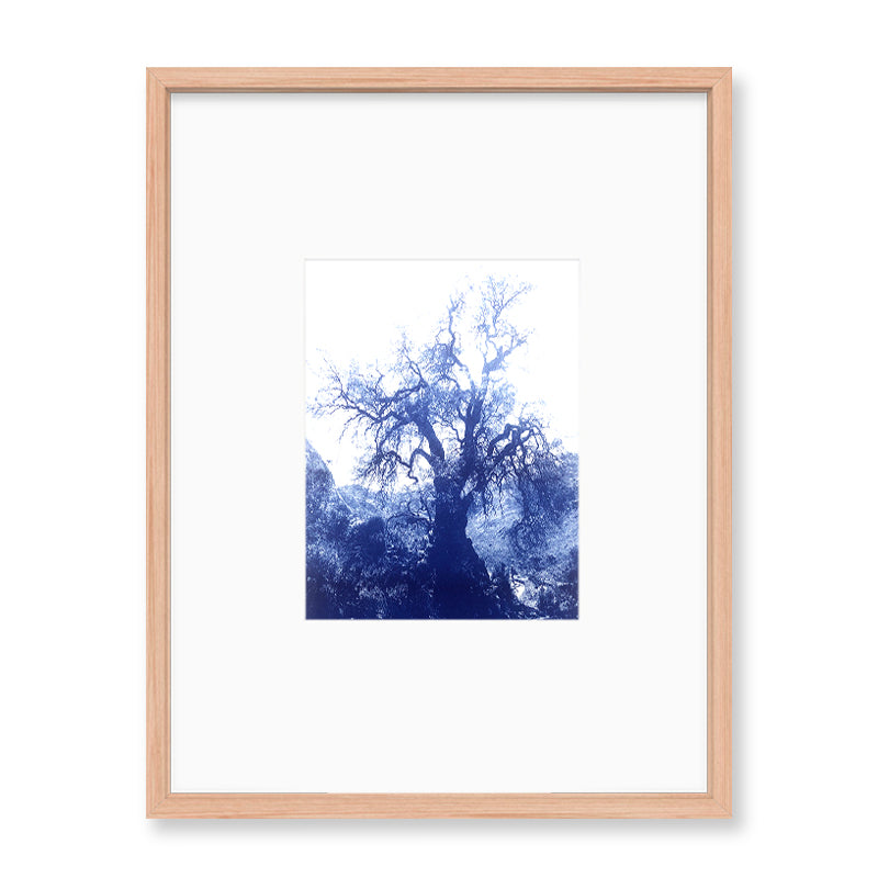 ANNAMARIAANGELIKA Tree Huaraz dark blue Series Kunst100 Fichte
