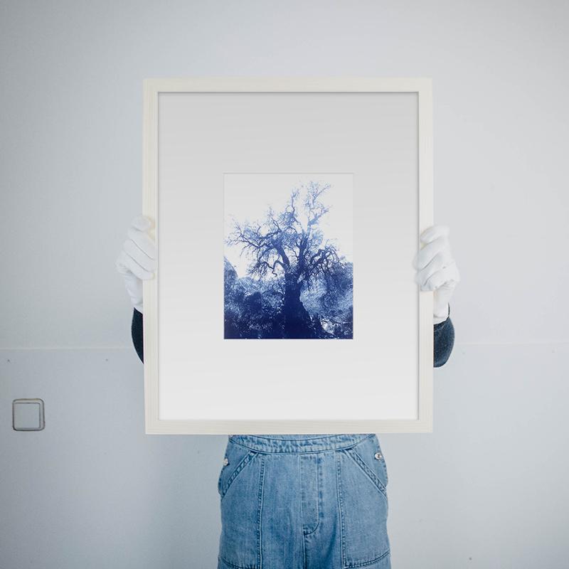 ANNAMARIAANGELIKA Tree Huaraz dark blue Series Kunst100 Rahmen