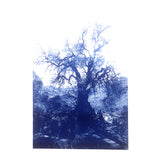 ANNAMARIAANGELIKA Tree Huaraz dark blue Series Kunst100 Square