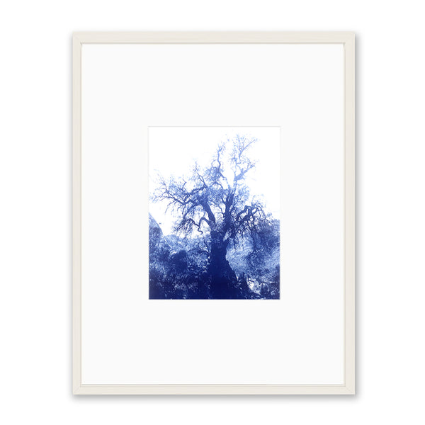 ANNAMARIAANGELIKA Tree Huaraz dark blue Series Kunst100 Weiß