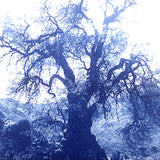 ANNAMARIAANGELIKA Tree Huaraz dark blue Series Kunst100 Zoom