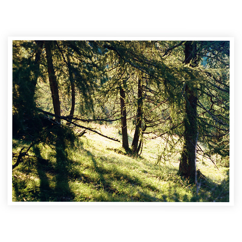 Giulia Artusa deer watching Kunst100 Square