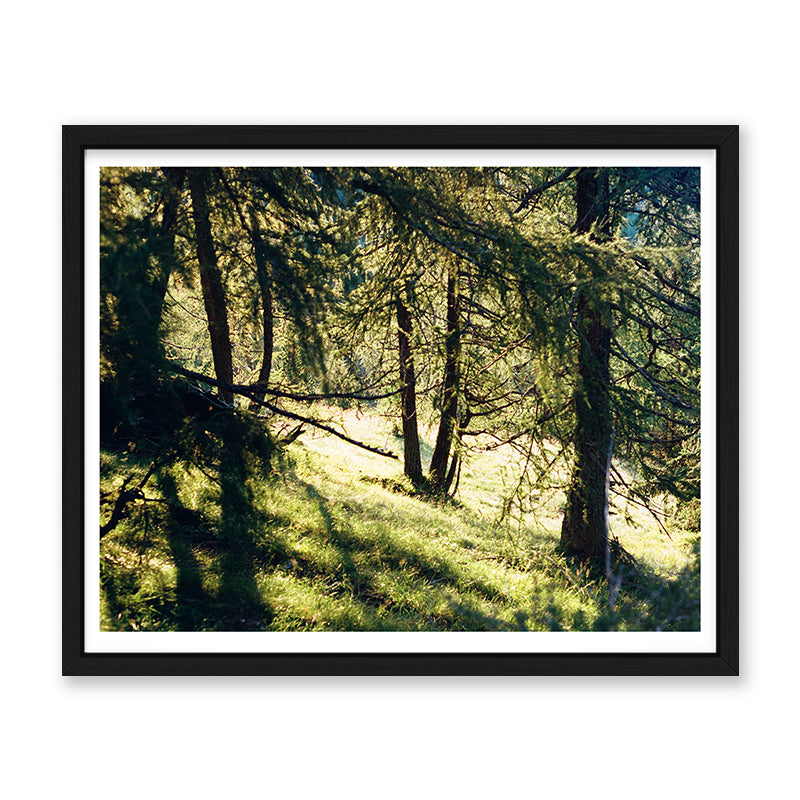 Giulia Artusa deer watching Kunst100 Schwarz
