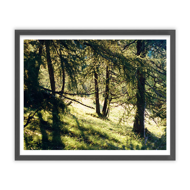 Giulia Artusa deer watching Kunst100 Grau