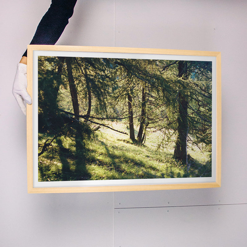 Giulia Artusa deer watching Kunst100 Rahmen
