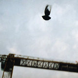 Sebastian Steimel Flug Kunst100 Zoom