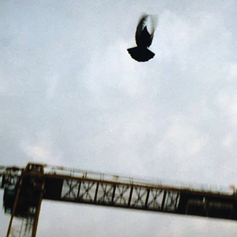 Sebastian Steimel Flug Kunst100 Zoom