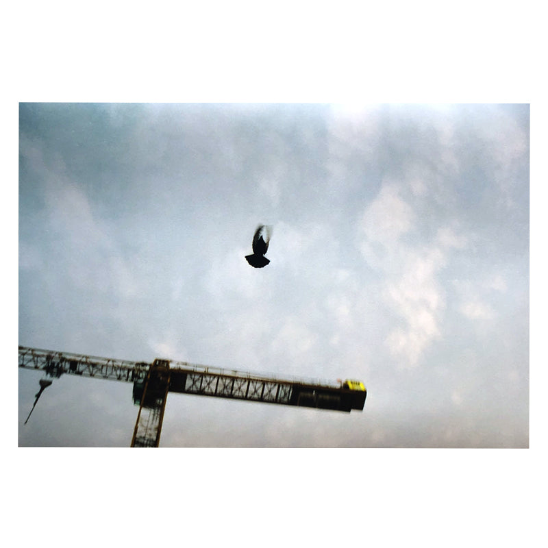 Sebastian Steimel Flug Kunst100 Square