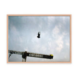 Sebastian Steimel Flug Kunst100 Fichte