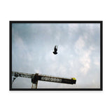 Sebastian Steimel Flug Kunst100 Schwarz