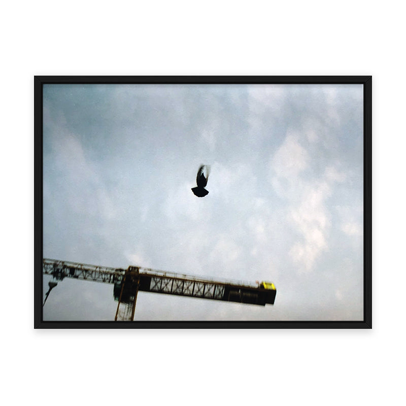 Sebastian Steimel Flug Kunst100 Schwarz