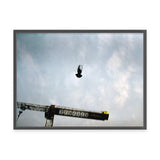Sebastian Steimel Flug Kunst100 Grau