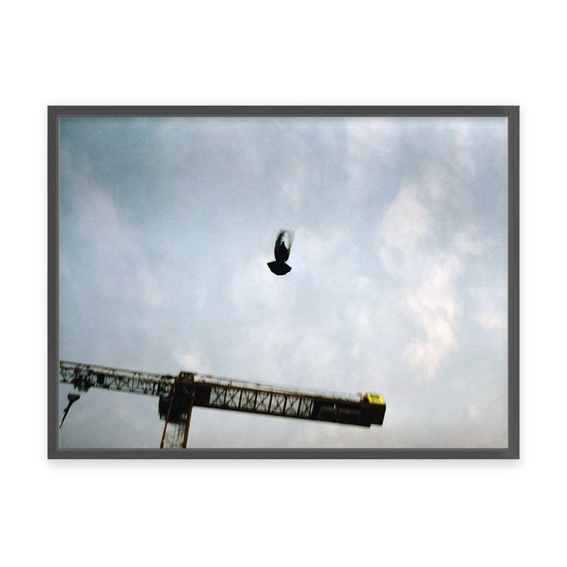 Sebastian Steimel Flug Kunst100 Grau