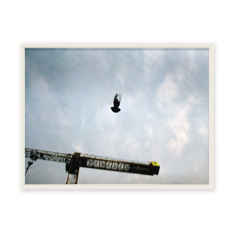 Sebastian Steimel Flug Kunst100 Weiß