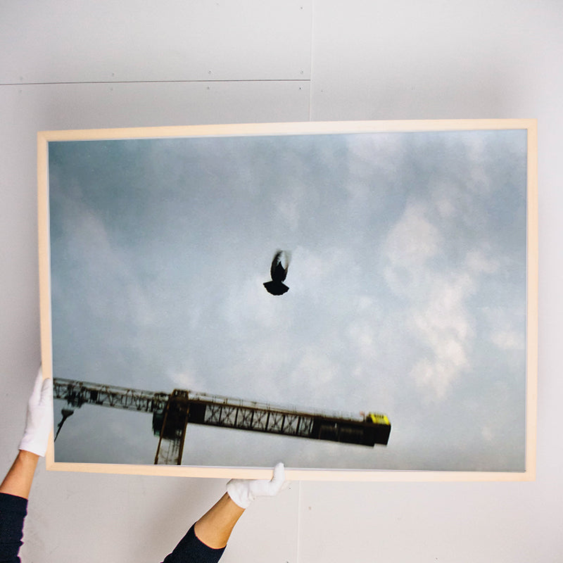 Sebastian Steimel Flug Kunst100 Rahmen