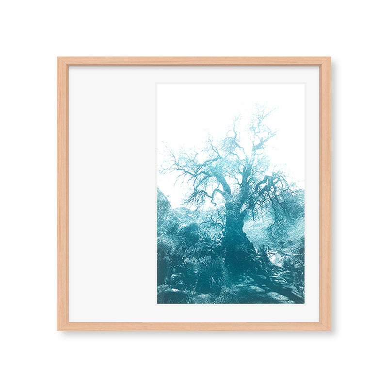 ANNAMARIAANGELIKA Tree Huaraz big dark green series Kunst100 Fichte