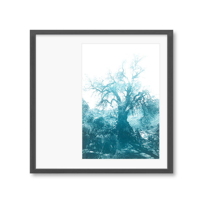 ANNAMARIAANGELIKA Tree Huaraz big dark green series Kunst100 Grau