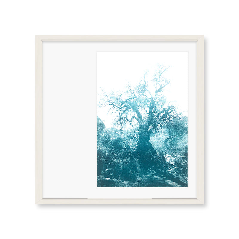ANNAMARIAANGELIKA Tree Huaraz big dark green series Kunst100 Weiß