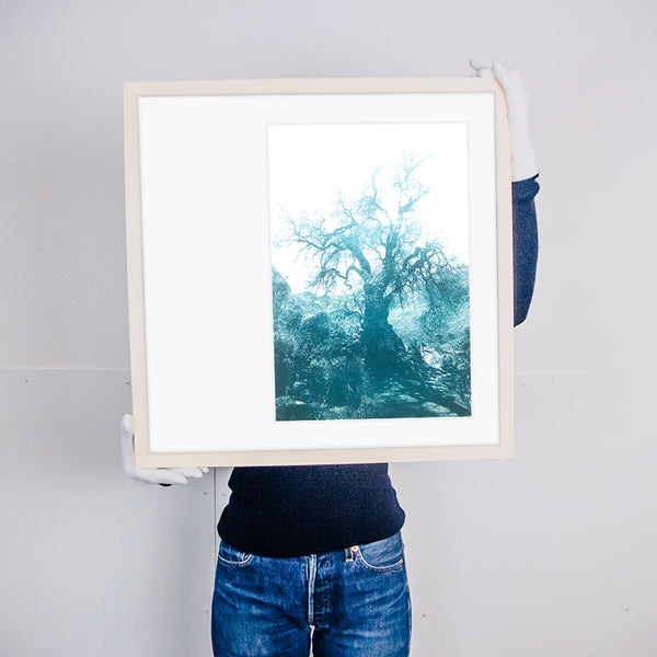 ANNAMARIAANGELIKA Tree Huaraz big dark green series Kunst100 Rahmen
