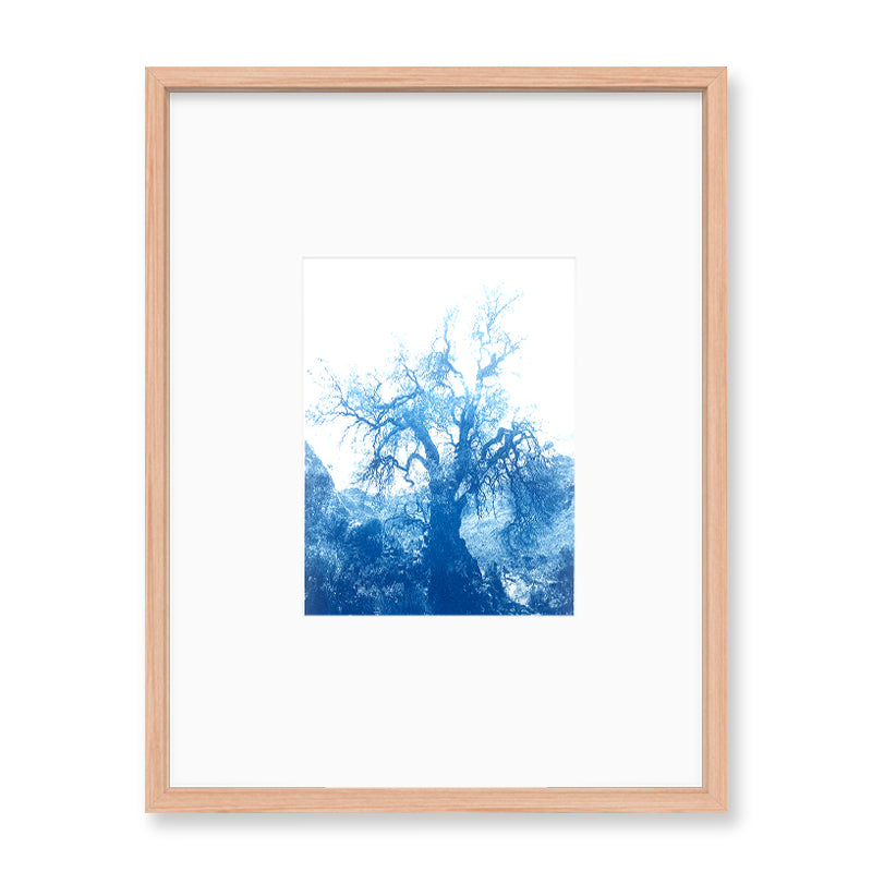 ANNAMARIAANGELIKA Tree Huaraz light blue series Kunst100 Fichte