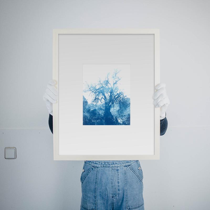 ANNAMARIAANGELIKA Tree Huaraz light blue series Kunst100 Rahmen