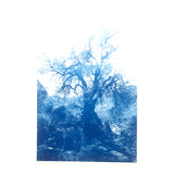 ANNAMARIAANGELIKA Tree Huaraz light blue series Kunst100 Square