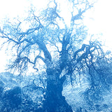 ANNAMARIAANGELIKA Tree Huaraz light blue series Kunst100 Zoom