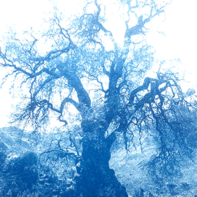 ANNAMARIAANGELIKA Tree Huaraz light blue series Kunst100 Zoom