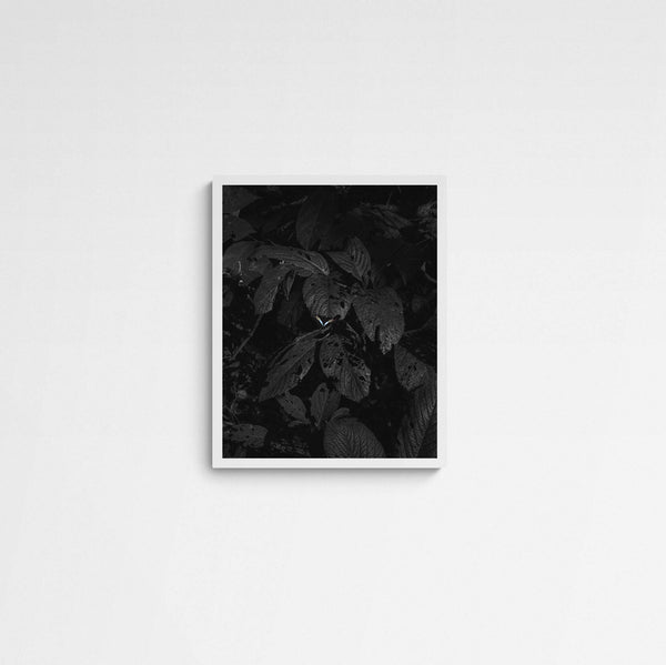 Iryt by Irene Tondelli Forest 02 Main Image Square