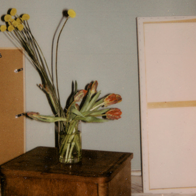 Daniela Torres Still Life No.2 Kunst100 Zoom