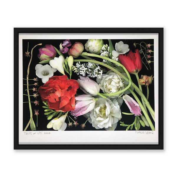 Matthias Weber Tulips Kunst100 Schwarz
