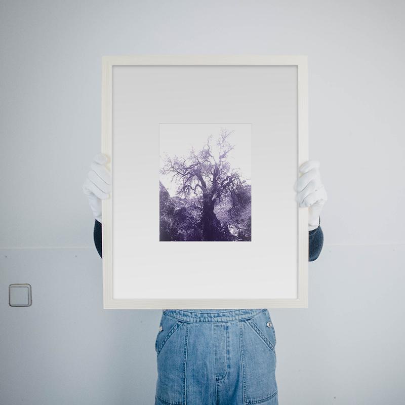 ANNAMARIAANGELIKA Tree Huaraz violett series Kunst100 Rahmen