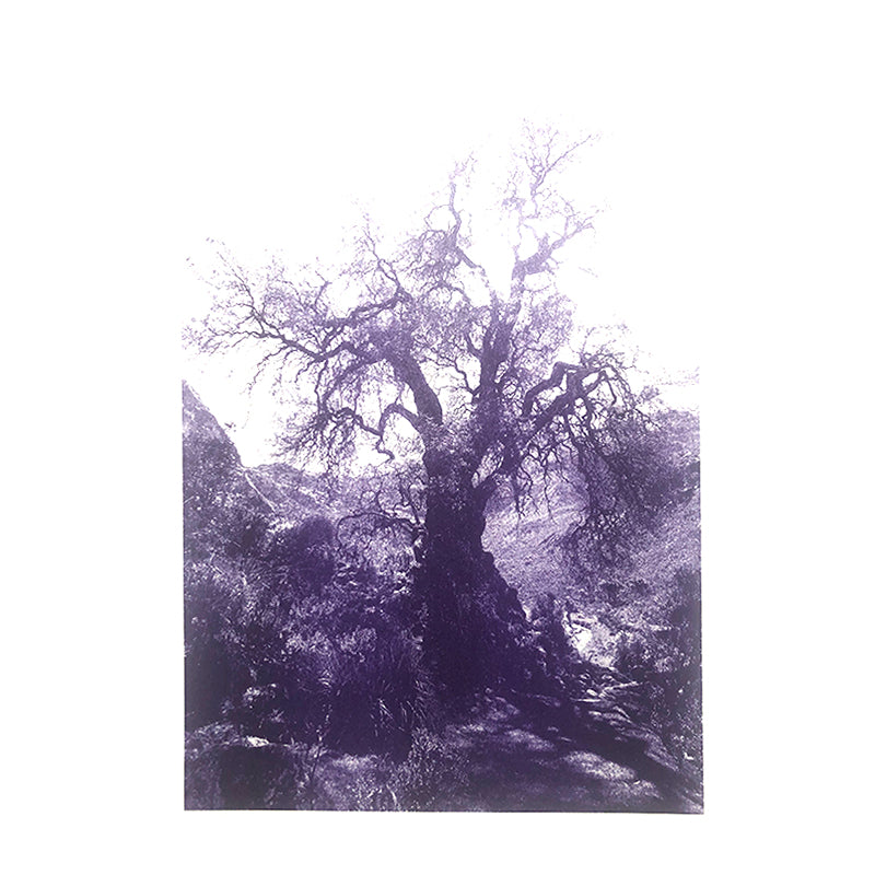 ANNAMARIAANGELIKA Tree Huaraz violett series Kunst100 Square