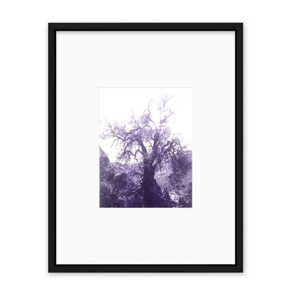 ANNAMARIAANGELIKA Tree Huaraz violett series Kunst100 Schwarz