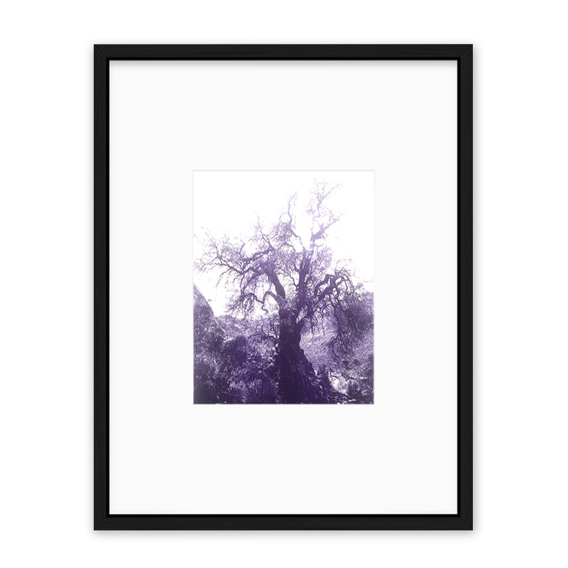 ANNAMARIAANGELIKA Tree Huaraz violett series Kunst100 Schwarz