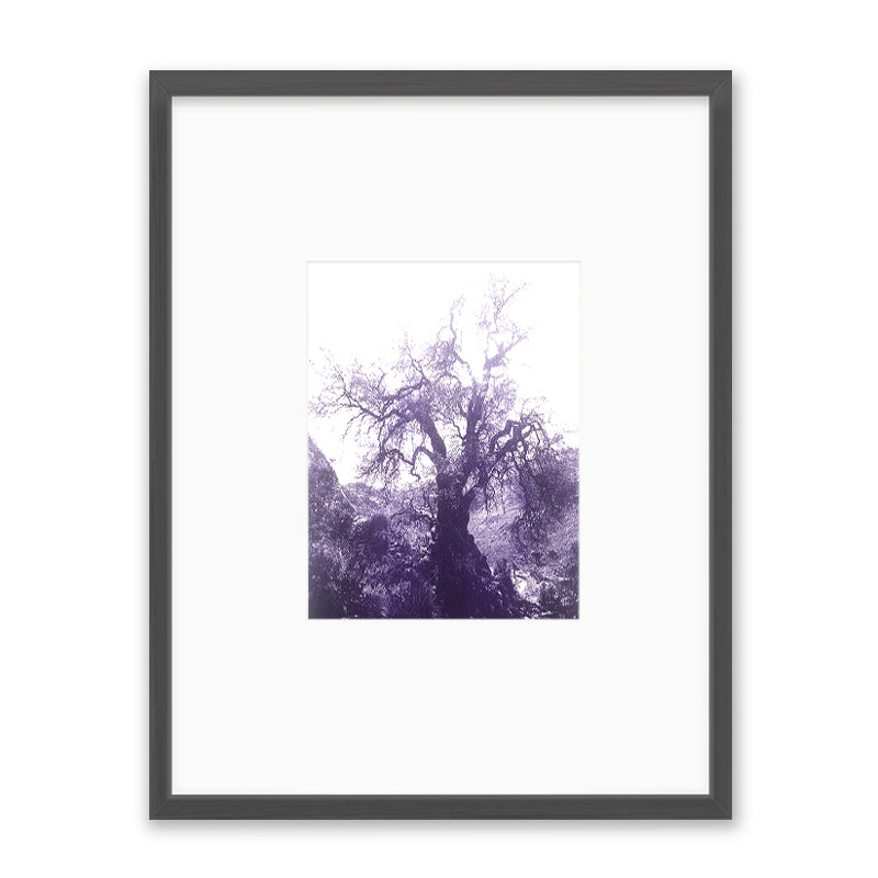 ANNAMARIAANGELIKA Tree Huaraz violett series Kunst100 Grau