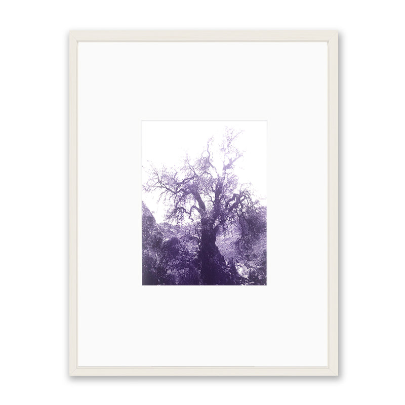 ANNAMARIAANGELIKA Tree Huaraz violett series Kunst100 Weiß