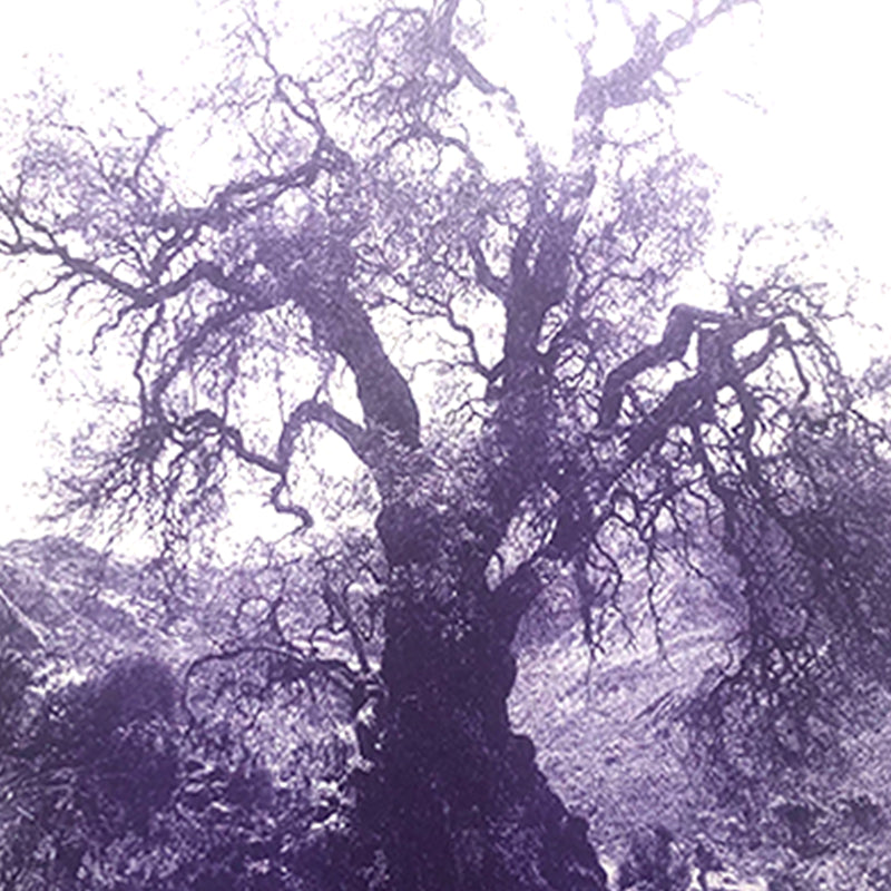 ANNAMARIAANGELIKA Tree Huaraz violett series Kunst100 Zoom