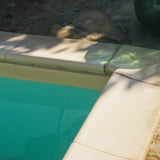 Vera Landmann Poolside Zoom