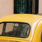 Vera Landmann Rain in Roma Zoom