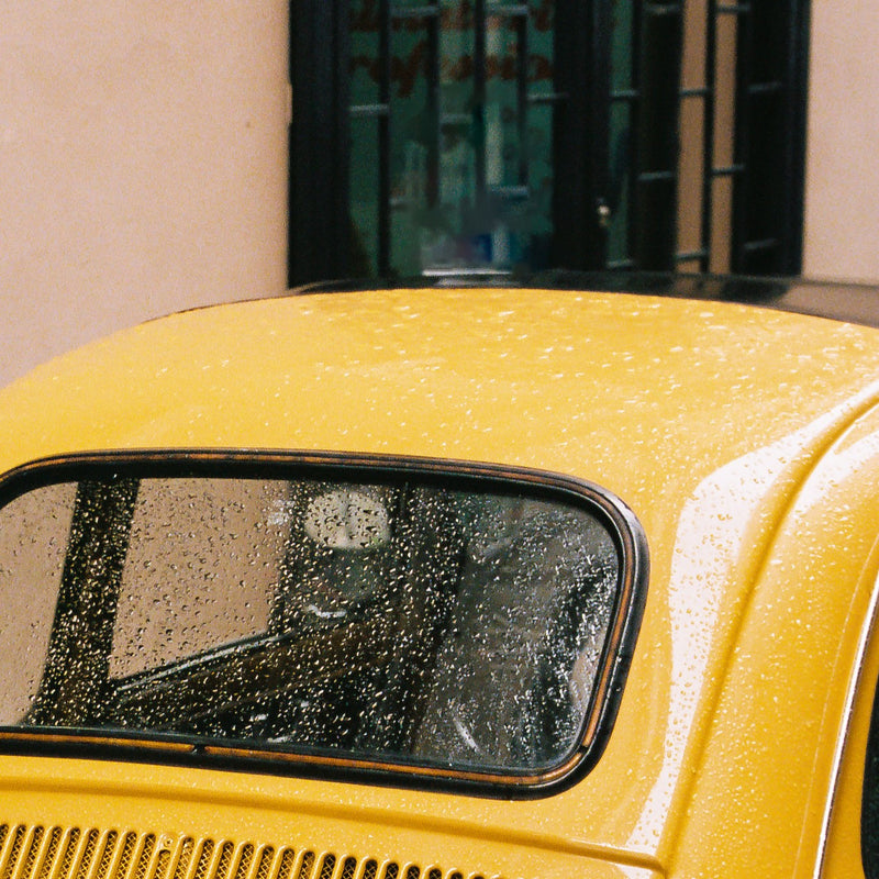 Vera Landmann Rain in Roma Zoom